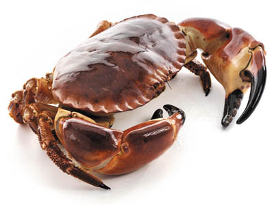 Imported crab